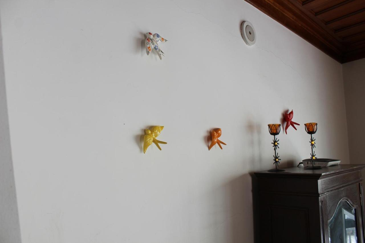 Angeja Charm House Casa Da Eira 빌라 외부 사진